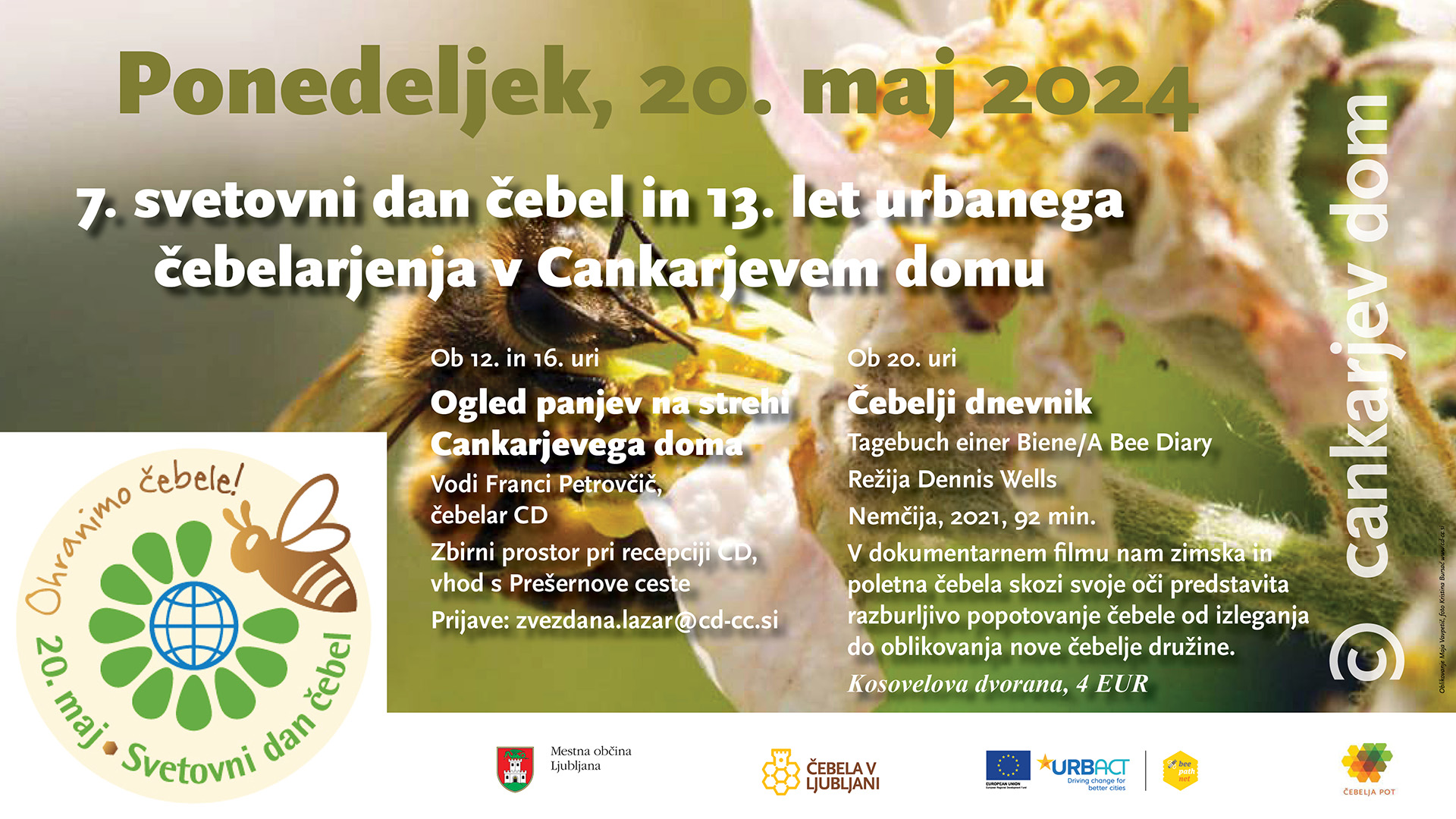 dgzyvo-CD-20052024.jpg