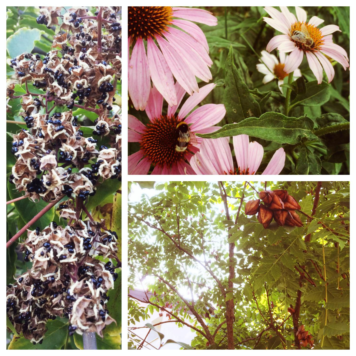 q45ydo-Web-F-IMG_5803_WY_F_Collage.jpg
