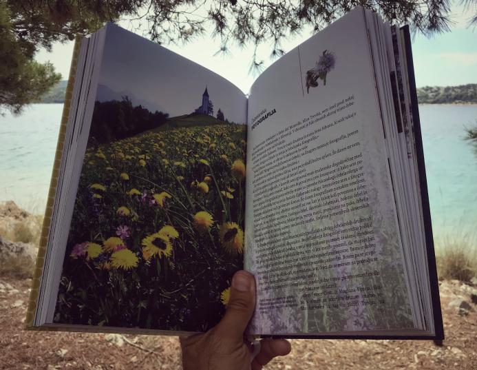 Franc Šivic je avtor številnih ponarodelih čebelarskih fotografij; foto: GT